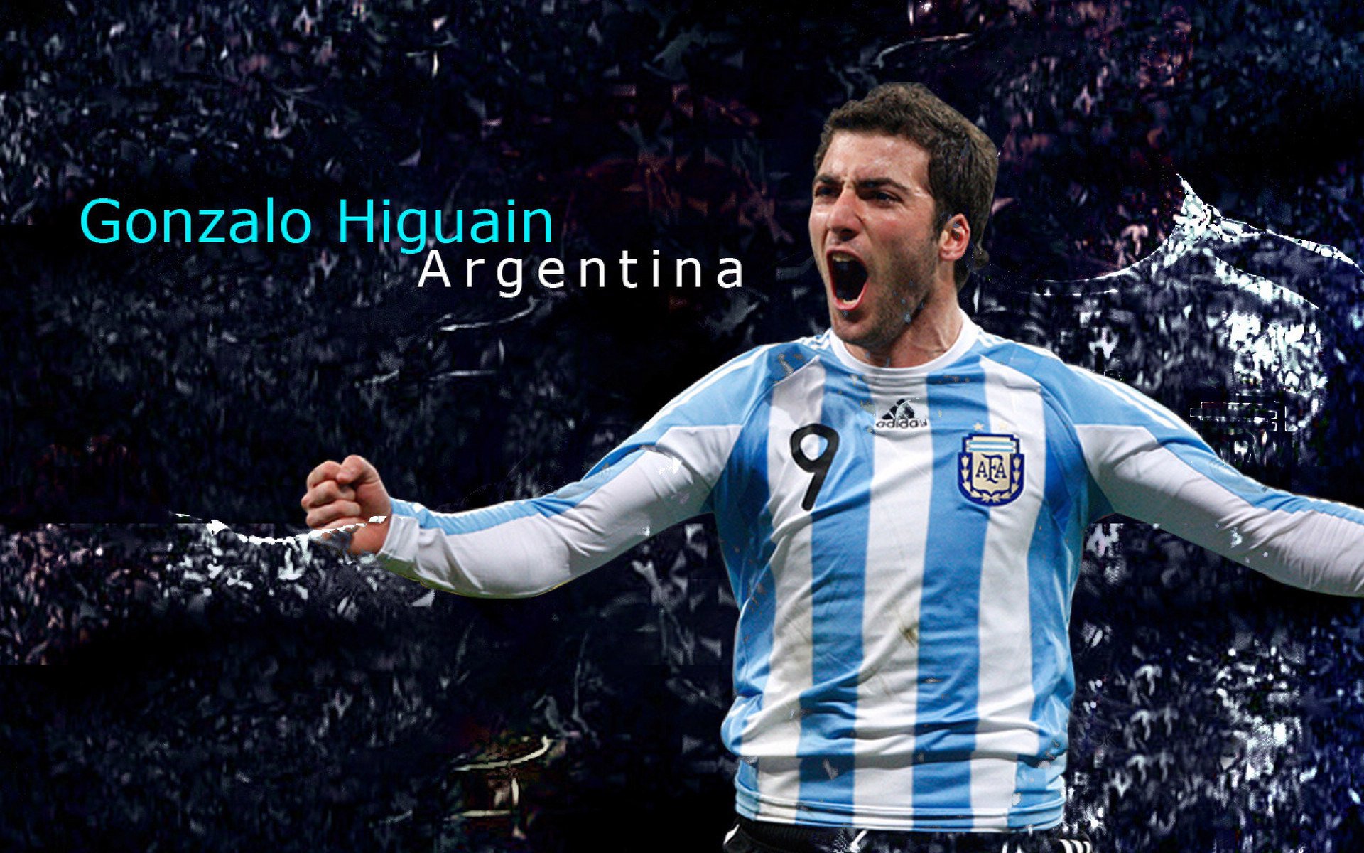 宁王重回市值榜首，新能源行情要回来了？